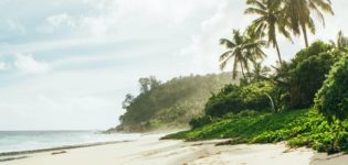 Beach Vacations