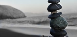 Zen Tours
